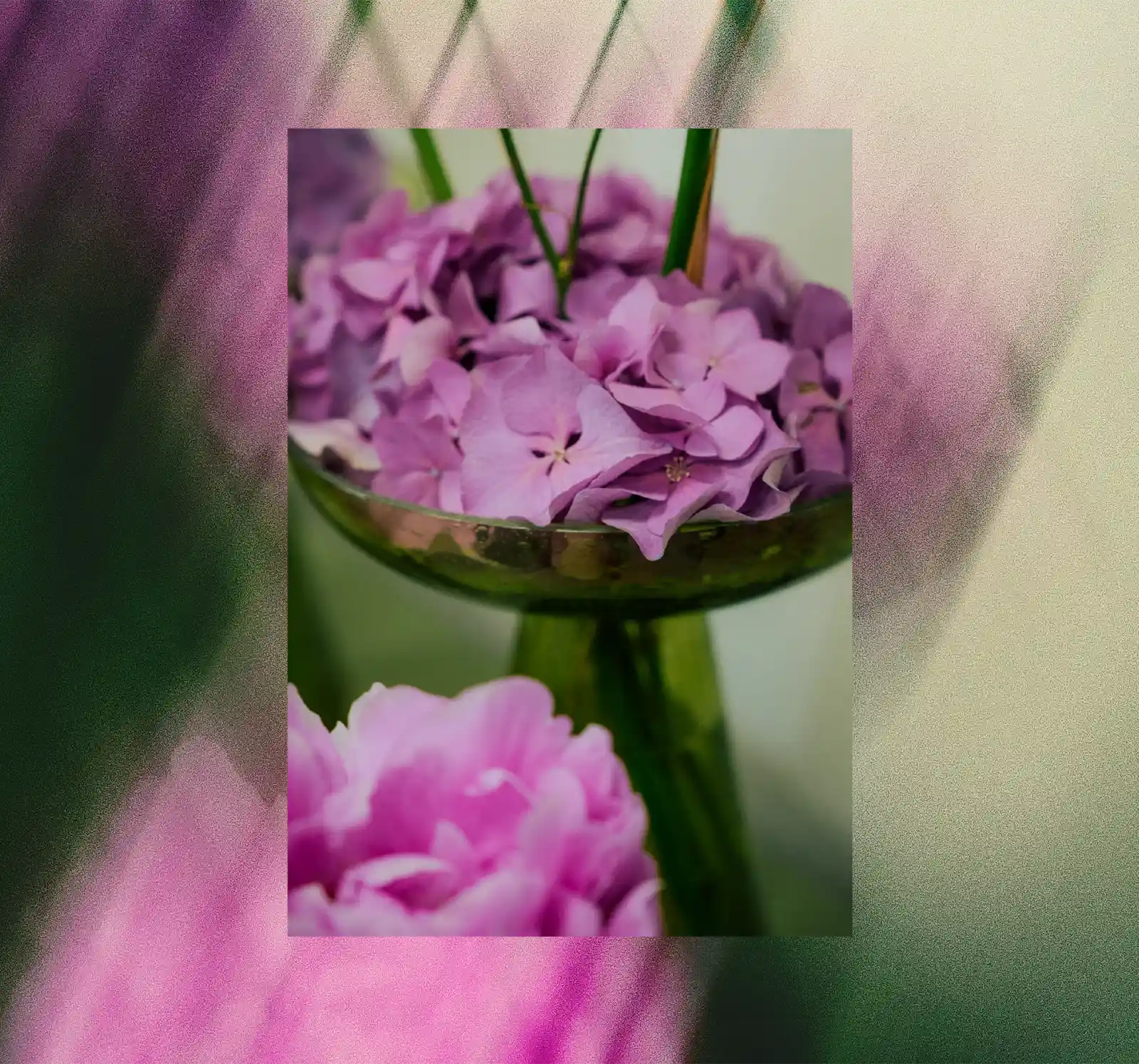 Hortensias mauves en coupe verte – atelier floral Trévoux