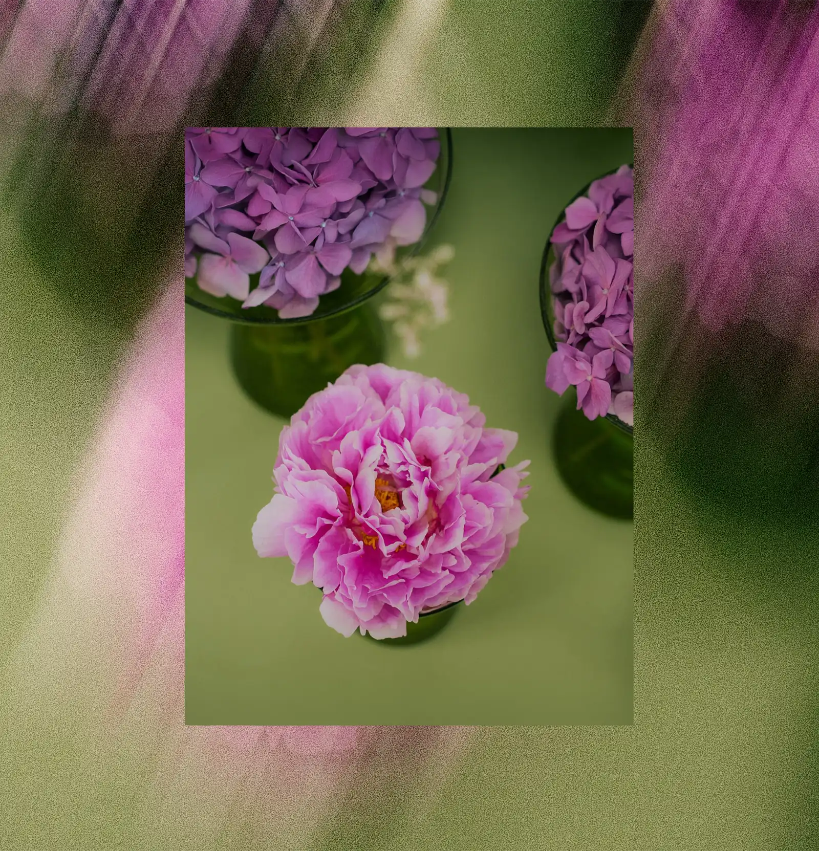  Pivoine et hortensias en vase pour décoration florale professionnelle – fleurs pour entreprise Ain